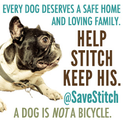 Save Stitch
